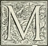 An illustration from Cavalerie della citta di Ferrara : che contengono il Castello di Gorgofervsa, il Monte di Feronia et il Tempio d'amore (1566)