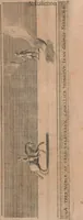 Picture 37 of 64 from La cavalerie françoise et italienne, ou, L'art de bien dresser les chevaux, selon les preceptes des bonnes écoles des deux nations : tant pour le plaisir de la carriere, et des carozels que pour le service de la guerre (1620), leaf 110