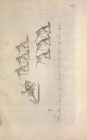 An illustration from La cavalerie françoise et italienne, ou, L'art de bien dresser les chevaux, selon les preceptes des bonnes écoles des deux nations : tant pour le plaisir de la carriere, et des carozels que pour le service de la guerre (1620)
