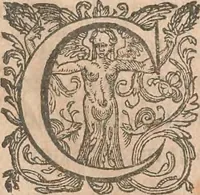 An illustration from La cavalerie françoise et italienne, ou, L'art de bien dresser les chevaux, selon les preceptes des bonnes écoles des deux nations : tant pour le plaisir de la carriere, et des carozels que pour le service de la guerre (1620)