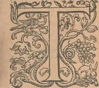 An illustration from La cavalerie françoise et italienne, ou, L'art de bien dresser les chevaux, selon les preceptes des bonnes écoles des deux nations : tant pour le plaisir de la carriere, et des carozels que pour le service de la guerre (1620)