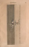 Picture 50 of 64 from La cavalerie françoise et italienne, ou, L'art de bien dresser les chevaux, selon les preceptes des bonnes écoles des deux nations : tant pour le plaisir de la carriere, et des carozels que pour le service de la guerre (1620), leaf 142