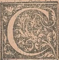 An illustration from La cavalerie françoise et italienne, ou, L'art de bien dresser les chevaux, selon les preceptes des bonnes écoles des deux nations : tant pour le plaisir de la carriere, et des carozels que pour le service de la guerre (1620)