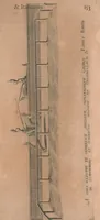 Picture 60 of 64 from La cavalerie françoise et italienne, ou, L'art de bien dresser les chevaux, selon les preceptes des bonnes écoles des deux nations : tant pour le plaisir de la carriere, et des carozels que pour le service de la guerre (1620), leaf 162
