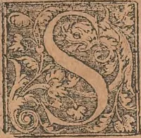 An illustration from La cavalerie françoise et italienne, ou, L'art de bien dresser les chevaux, selon les preceptes des bonnes écoles des deux nations : tant pour le plaisir de la carriere, et des carozels que pour le service de la guerre (1620)