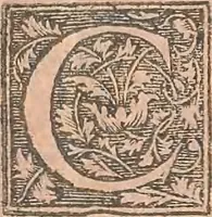 An illustration from La cavalerie françoise et italienne, ou, L'art de bien dresser les chevaux, selon les preceptes des bonnes écoles des deux nations : tant pour le plaisir de la carriere, et des carozels que pour le service de la guerre (1620)