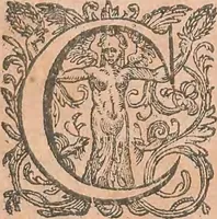 An illustration from La cavalerie françoise et italienne, ou, L'art de bien dresser les chevaux, selon les preceptes des bonnes écoles des deux nations : tant pour le plaisir de la carriere, et des carozels que pour le service de la guerre (1620)