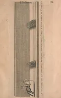 Picture 32 of 64 from La cavalerie françoise et italienne, ou, L'art de bien dresser les chevaux, selon les preceptes des bonnes écoles des deux nations : tant pour le plaisir de la carriere, et des carozels que pour le service de la guerre (1620), leaf 96