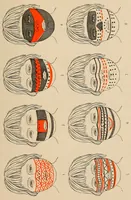 An illustration from The Cayapa Indians of Ecuador (1925)