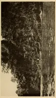 An illustration from The Cayapa Indians of Ecuador (1925)