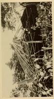 An illustration from The Cayapa Indians of Ecuador (1925)
