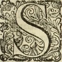 An illustration from C. Cornelius Tacitus. Jaarboeken en Historien, ook zyn Germanie (1684)