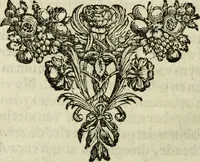 Picture 14 of 50 from C. Cornelius Tacitus. Jaarboeken en Historien, ook zyn Germanie (1684), leaf 257