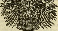 An illustration from C. Cornelius Tacitus. Jaarboeken en Historien, ook zyn Germanie (1684)