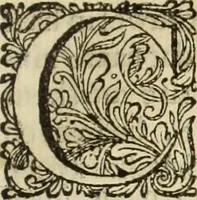 An illustration from C. Cornelius Tacitus. Jaarboeken en Historien, ook zyn Germanie (1684)