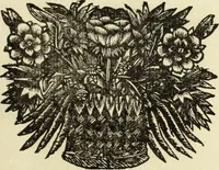 An illustration from C. Cornelius Tacitus. Jaarboeken en Historien, ook zyn Germanie (1684)