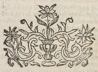 An illustration from Cefalogia fisonomica diuisa in dieci deche : doue conforme à'documenti d'Aristotile, e d'altri filosofi naturali, con breui discorsi, e diligenti osseruationi si esaminano le fisonomie : di cento teste humane che intagliate si vedono in quest' opera : dalle quali per più segni e congetture si dimostrano varie inclinationi di huomini e don̄e (1630)