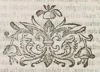 Picture 6 of 12 from Cefalogia fisonomica diuisa in dieci deche : doue conforme à'documenti d'Aristotile, e d'altri filosofi naturali, con breui discorsi, e diligenti osseruationi si esaminano le fisonomie : di cento teste humane che intagliate si vedono in quest' opera : dalle quali per più segni e congetture si dimostrano varie inclinationi di huomini e don̄e (1630), leaf 352