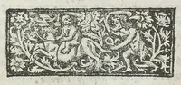 An illustration from Cefalogia fisonomica diuisa in dieci deche : doue conforme à'documenti d'Aristotile, e d'altri filosofi naturali, con breui discorsi, e diligenti osseruationi si esaminano le fisonomie : di cento teste humane che intagliate si vedono in quest' opera : dalle quali per più segni e congetture si dimostrano varie inclinationi di huomini e don̄e (1630)