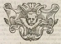 An illustration from Cefalogia fisonomica diuisa in dieci deche : doue conforme à'documenti d'Aristotile, e d'altri filosofi naturali, con breui discorsi, e diligenti osseruationi si esaminano le fisonomie : di cento teste humane che intagliate si vedono in quest' opera : dalle quali per più segni e congetture si dimostrano varie inclinationi di huomini e don̄e (1630)