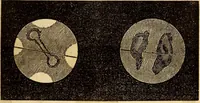 An illustration from Celestial scenery, or, The Wonders of the planetary system displayed : illustrating the perfections of deity and a plurality of worlds (1845)
