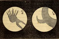 An illustration from Celestial scenery, or, The Wonders of the planetary system displayed : illustrating the perfections of deity and a plurality of worlds (1845)