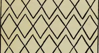An illustration from Celtic art in pagan and Christian times (1904)