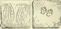 An illustration from The Celt, the Roman, and the Saxon : a history of the early inhabitants of Britain, down to the conversion of the Anglo-Saxons to Christianity ; illustrated by the ancient remains brought to light by recent research / by Thomas Wright ; with numerous engravings on wood (1902)