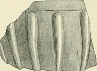An illustration from The Celt, the Roman, and the Saxon : a history of the early inhabitants of Britain, down to the conversion of the Anglo-Saxons to Christianity ; illustrated by the ancient remains brought to light by recent research / by Thomas Wright ; with numerous engravings on wood (1902)