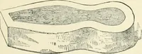 An illustration from The Celt, the Roman, and the Saxon : a history of the early inhabitants of Britain, down to the conversion of the Anglo-Saxons to Christianity ; illustrated by the ancient remains brought to light by recent research / by Thomas Wright ; with numerous engravings on wood (1902)