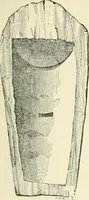 An illustration from The Celt, the Roman, and the Saxon : a history of the early inhabitants of Britain, down to the conversion of the Anglo-Saxons to Christianity ; illustrated by the ancient remains brought to light by recent research / by Thomas Wright ; with numerous engravings on wood (1902)