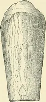 An illustration from The Celt, the Roman, and the Saxon : a history of the early inhabitants of Britain, down to the conversion of the Anglo-Saxons to Christianity ; illustrated by the ancient remains brought to light by recent research / by Thomas Wright ; with numerous engravings on wood (1902)