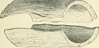 An illustration from The Celt, the Roman, and the Saxon : a history of the early inhabitants of Britain, down to the conversion of the Anglo-Saxons to Christianity ; illustrated by the ancient remains brought to light by recent research / by Thomas Wright ; with numerous engravings on wood (1902)