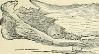 An illustration from The Celt, the Roman, and the Saxon : a history of the early inhabitants of Britain, down to the conversion of the Anglo-Saxons to Christianity ; illustrated by the ancient remains brought to light by recent research / by Thomas Wright ; with numerous engravings on wood (1902)