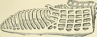 An illustration from The Celt, the Roman, and the Saxon : a history of the early inhabitants of Britain, down to the conversion of the Anglo-Saxons to Christianity ; illustrated by the ancient remains brought to light by recent research / by Thomas Wright ; with numerous engravings on wood (1902)