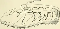 An illustration from The Celt, the Roman, and the Saxon : a history of the early inhabitants of Britain, down to the conversion of the Anglo-Saxons to Christianity ; illustrated by the ancient remains brought to light by recent research / by Thomas Wright ; with numerous engravings on wood (1902)