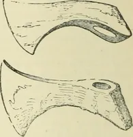 An illustration from The Celt, the Roman, and the Saxon : a history of the early inhabitants of Britain, down to the conversion of the Anglo-Saxons to Christianity ; illustrated by the ancient remains brought to light by recent research / by Thomas Wright ; with numerous engravings on wood (1902)