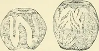 An illustration from The Celt, the Roman, and the Saxon : a history of the early inhabitants of Britain, down to the conversion of the Anglo-Saxons to Christianity ; illustrated by the ancient remains brought to light by recent research / by Thomas Wright ; with numerous engravings on wood (1902)