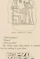 Picture 2 of 5 from The Cemeteries of Abydos (1913), leaf 136