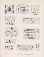 An illustration from The Cemeteries of Abydos (1913)