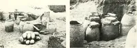 Picture 78 of 110 from The Cemeteries of Abydos (1913), leaf 102