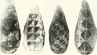 An illustration from The Cemeteries of Abydos (1913)