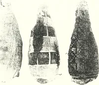 An illustration from The Cemeteries of Abydos (1913)