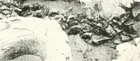 An illustration from The Cemeteries of Abydos (1913)