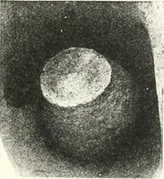 An illustration from The Cemeteries of Abydos (1913)