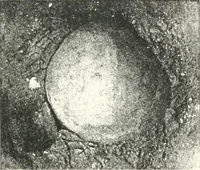 An illustration from The Cemeteries of Abydos (1913)
