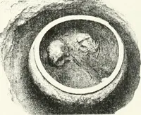 An illustration from The Cemeteries of Abydos (1913)