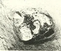 An illustration from The Cemeteries of Abydos (1913)