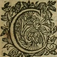 An illustration from Censvra Sacrae Facvultatis Theologiae Parisiensis lata in seditiosum libellum qui inscribitur G.G.R. Theologi ad Lvdovieva XIII (1625)