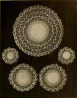 An illustration from Center pieces and lungh sets in crochet work .. (1915)